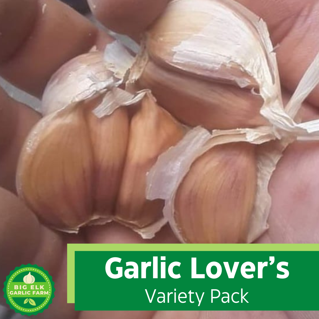 2026 PRE-ORDER Garlic Lover's Variety Pack
