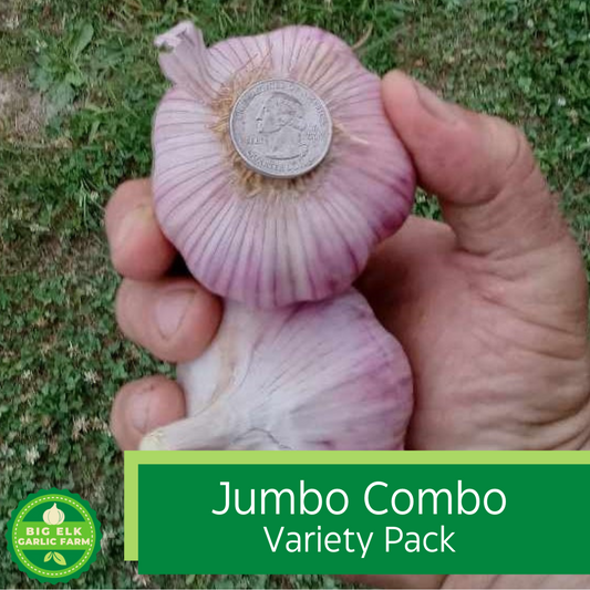 2026 PRE-ORDER Jumbo Combo Variety Pack