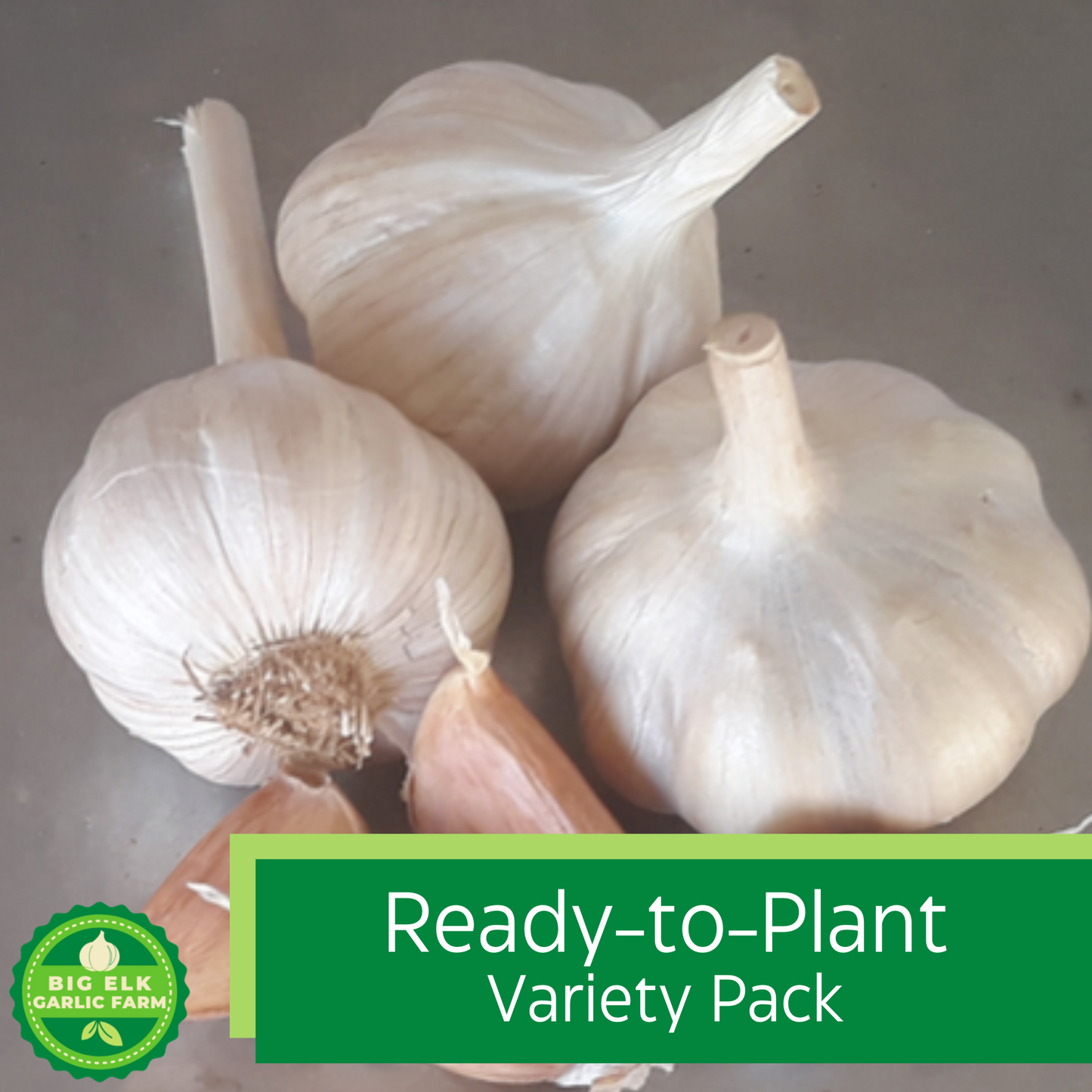 2026 PRE-ORDER Ready To Plant Variety Pack