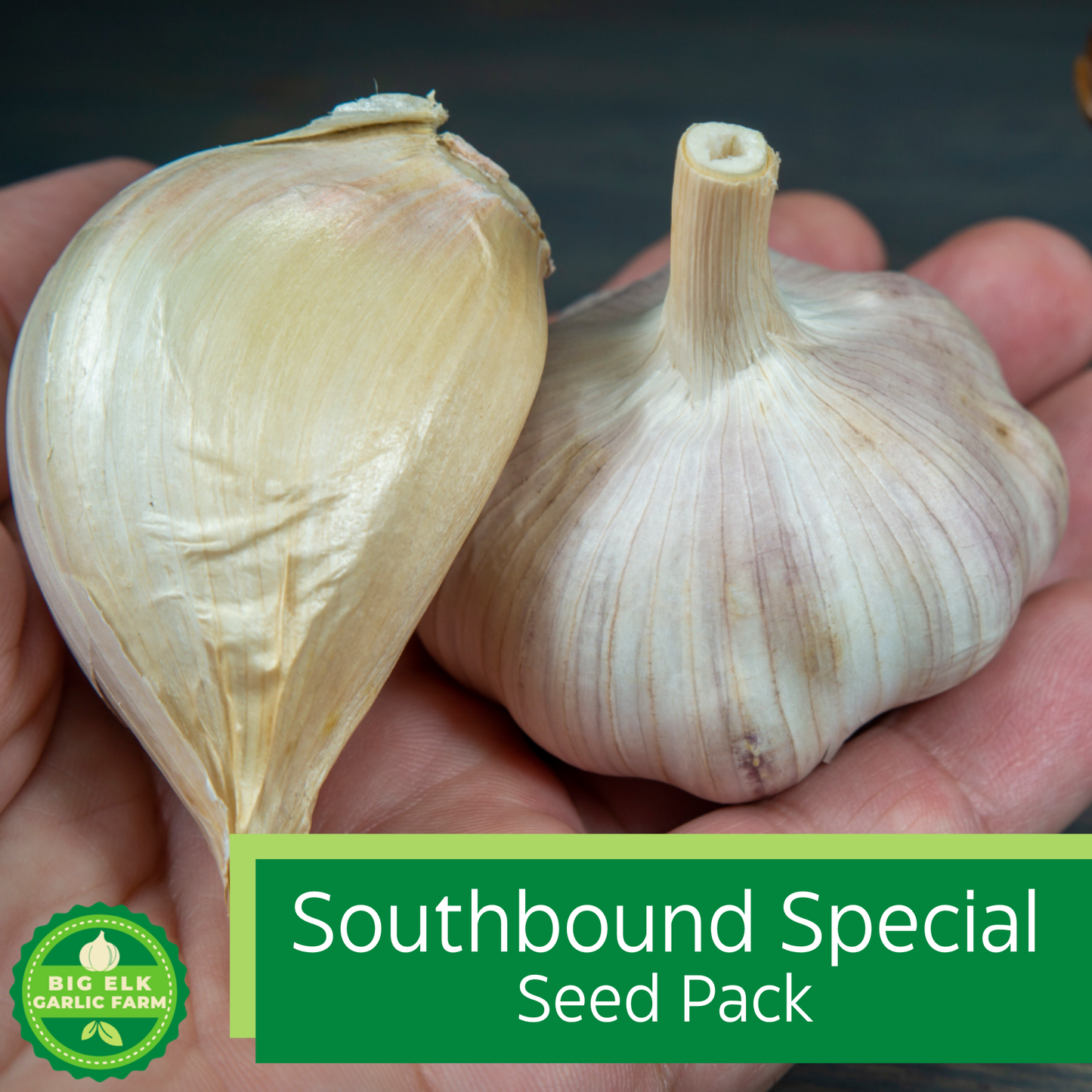 2026 PRE-ORDER Southbound Special
