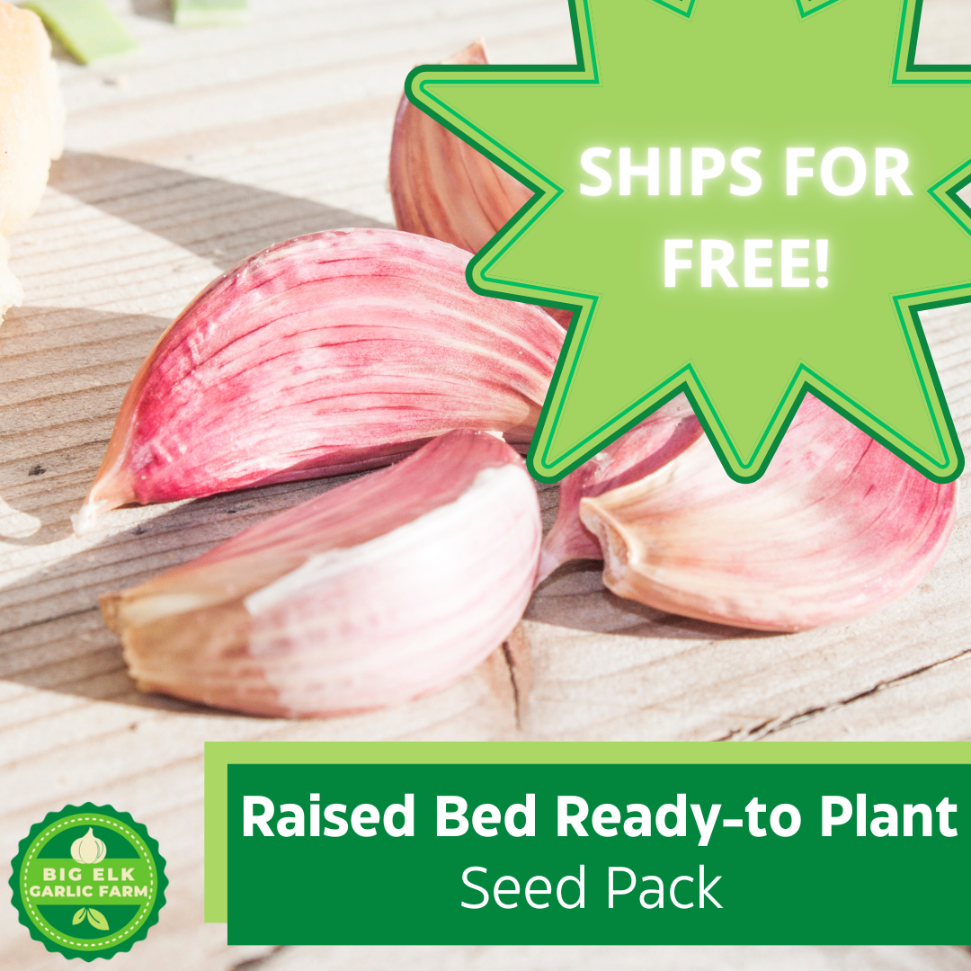 2026 PRE-ORDER Raised Bed Ready-to-Plant Seed Pack