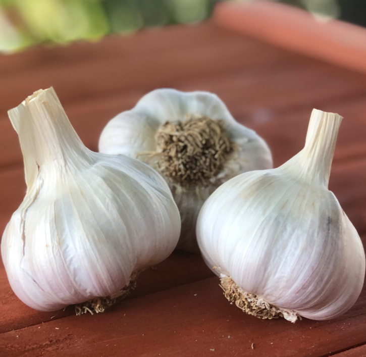 2026 PRE-ORDER The Backyard Gardener Variety Pack