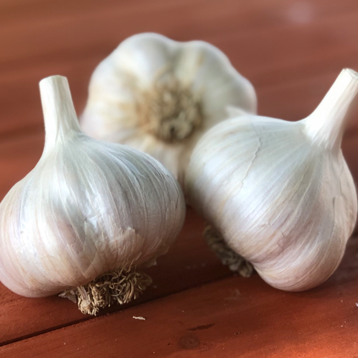 2026 PRE-ORDER ‘Ukrainian Red’ Seed Garlic [$22/LB]